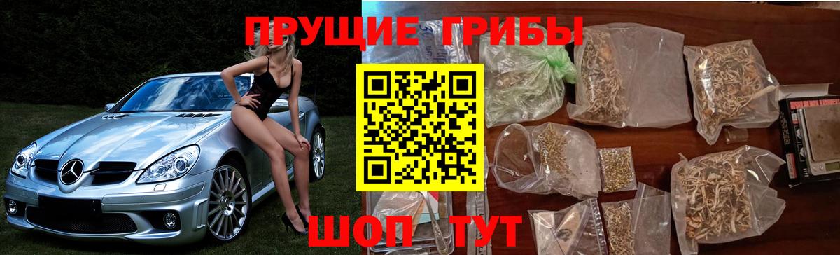 Карталы  Псилоцибиновые грибы Psilocybe  Вход с VPN  Псилоцибиновые грибы прущие грибы 